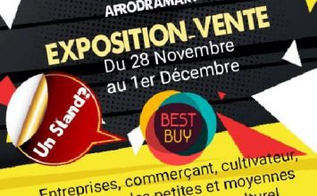 Festival Afrodramart