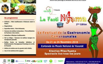 Le Festival de la Gastronomie Camerounaise ( Le Festi Nyama)